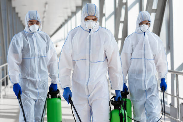 Best Mold removal after water damage  in Williamstown, KY