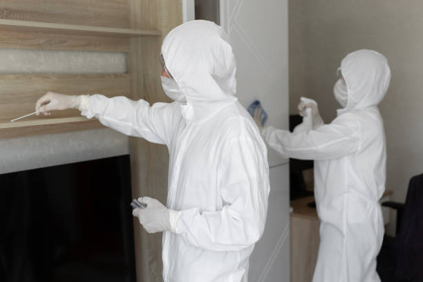 Best Residential water damage restoration  in Williamstown, KY