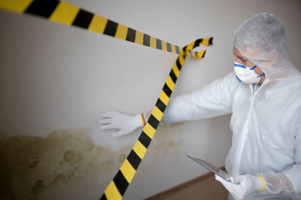 Trusted Williamstown, KY Water damage restoration Experts